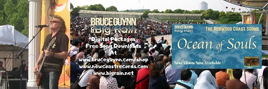 BruceGuynn & BigRain